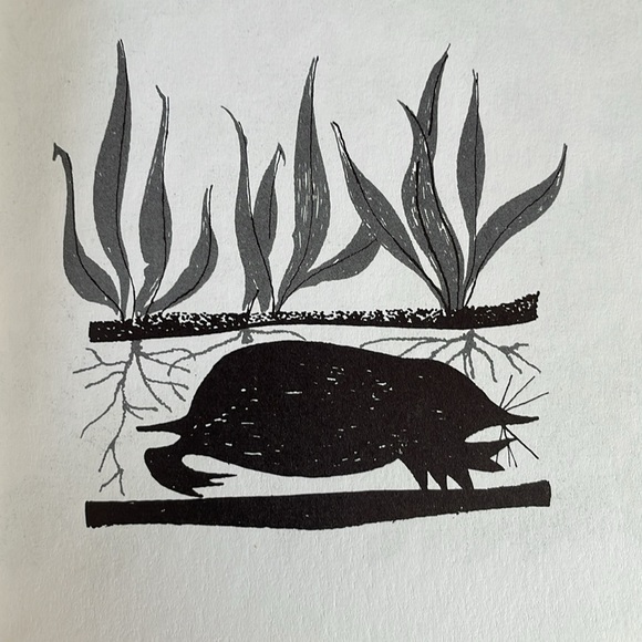 Around the Garden Week by Week, A Guide to Garden Planning... by Joan Lee Faust - Picture 12 of 16